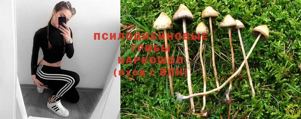 дживик Кулебаки