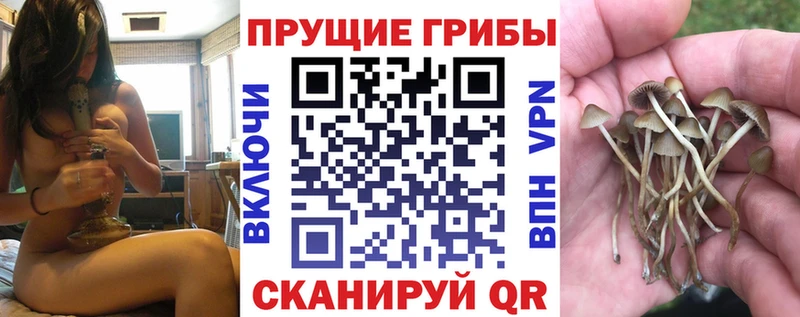 Купить где  Кемерово  Псилоцибиновые грибы мухоморы 